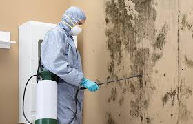 Best Real Estate Mold Inspection  in Asheboro, NC